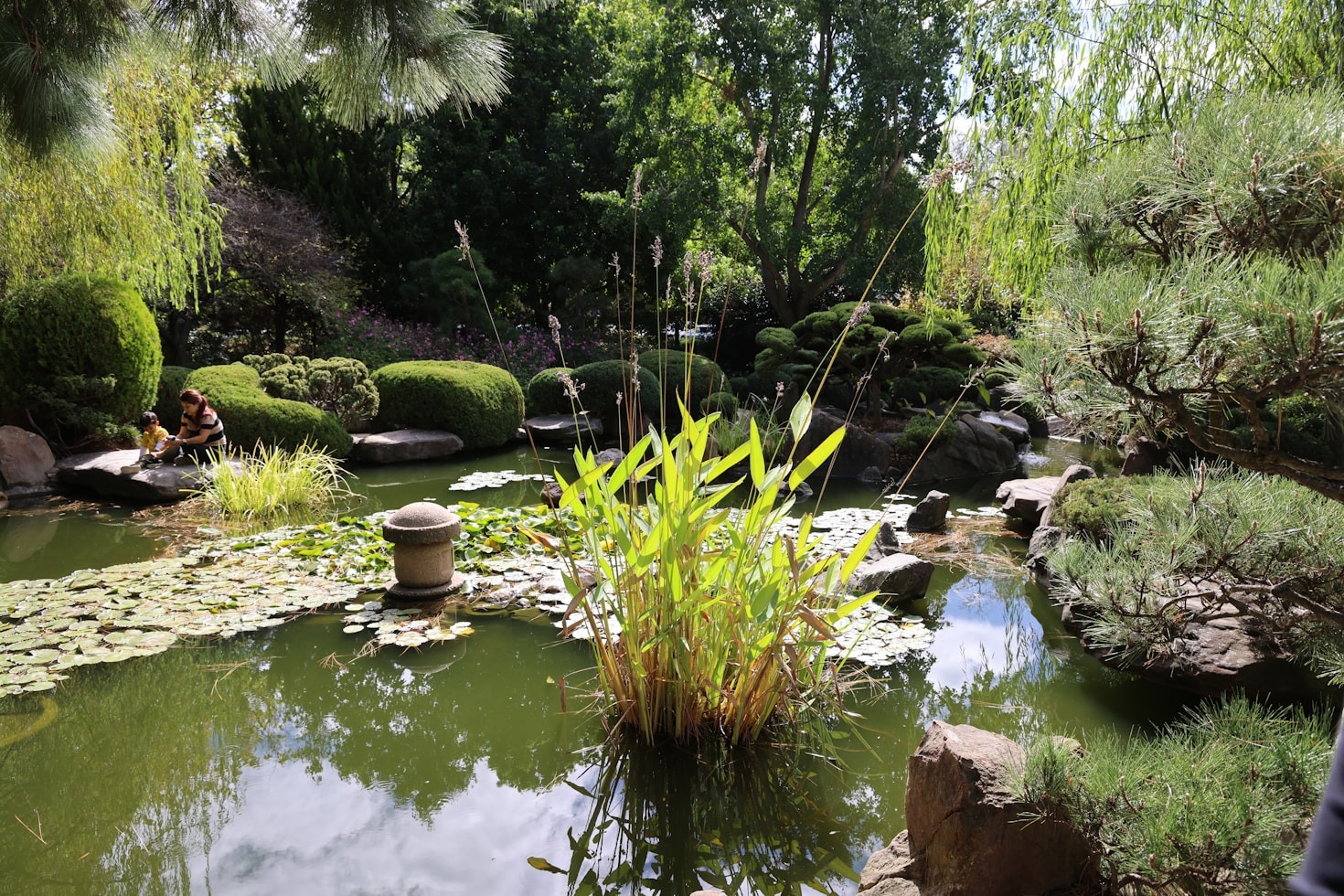 How Gardening Can Help Calm Your Mind